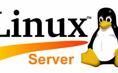Sécurisez et Mettez à Jour vos Serveurs Linux : L’Expertise de Pixalia