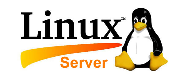 Sécurisez et Mettez à Jour vos Serveurs Linux : L’Expertise de Pixalia